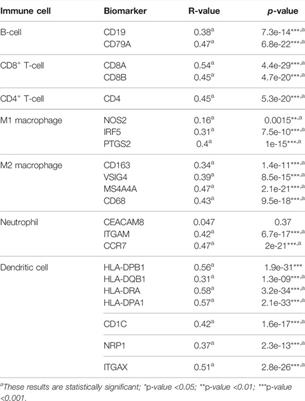 Lestaurtinib Has the Potential to Inhibit the Proliferation of Hepatocellular Carcinoma Uncovered by Bioinformatics Analysis and Pharmacological Experiments